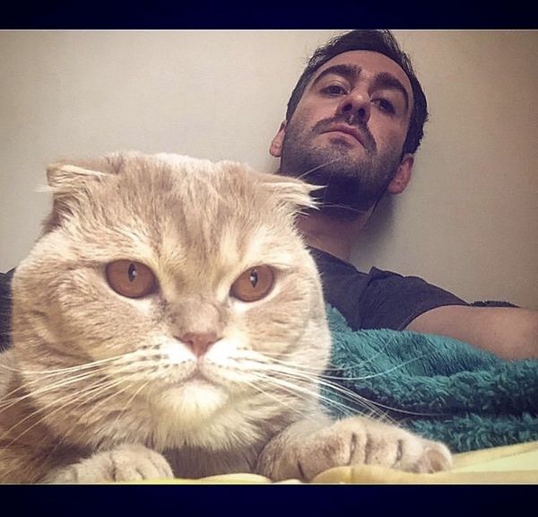 گربه خونگی نیما شعبان‌نژاد + عکس