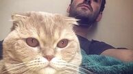 گربه خونگی نیما شعبان‌نژاد + عکس