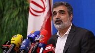 مدیرکل آژانس یکشنبه با صالحی دیدار می کند