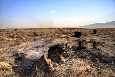 تصاویری دردناک و دلخراش از تالاب هشیلان