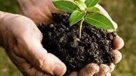 شهرداری شیراز برای بازیافت سبزه ها، طرح دارد