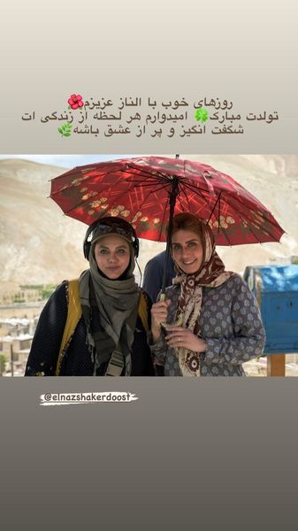 تبریک کارگردان مشهور به الناز شاکردوست + عکس