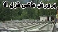 جوانی با سرمایه ۳ میلیون به درآمد ۸ میلیونی در ماه رسید 