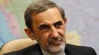 ولایتی: برنامه موشکی را بر اساس مصالح ملی ادامه می‌دهیم