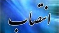 مسئول بهبود محیط کسب و کار وزارت ارشاد منصوب شد