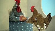 به این میگن زن خوب و فداکار
