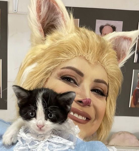 گربه بامزه کمند امیرسلیمانی + عکس