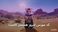 کد مورس همستر ۳ شهریور + آموزش وارد کردن