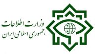 وزارت اطلاعات فعالیت مدیران دوتابعیتی در پست‌های حساس و مدیریتی را رد کرد