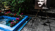 دانشور در علم سیاست ورود نمی‌کرد