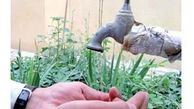 افزایش مصرف آب احتمال نوبت بندی را جدی‌تر کرد