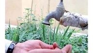 افزایش مصرف آب احتمال نوبت بندی را جدی‌تر کرد