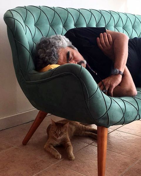 سروش صحت  و گربه خانگی اش + عکس