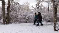 بارش برف در استان البرز آغاز شد