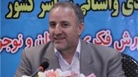 مذاکرات برای تولید عروسک‌های ایرانی در کشور ادامه دارد