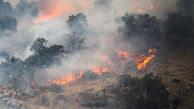 فرماندار کهگیلویه: مهار آتش سوزی خائیز کُند پیش می رود
