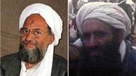 القاعده کشته شدن معاون «الظواهری»را در سوریه تأیید کرد