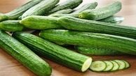 صادرات محصولات جالیزی ممنوع می شود