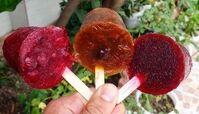 طرز تهیه اسکمو آلوچه شمالی ترش و خوشمزه