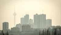 خوراکی‌های مفید برای آلودگی هوا