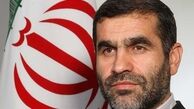 نیکزاد :
تعداد هواپیماها در پایان دولت دهم ۲۴۴ فروند بود