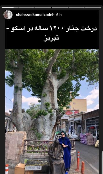 شهرزاد کمال زاده در کنار درخت کهنسال + عکس