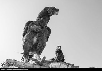 139311281149573234765924