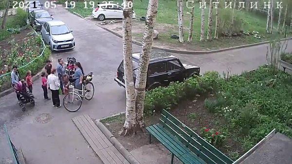 
سقوط درخت روی سر یک زن + فیلم
