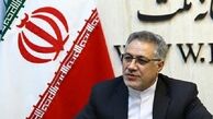 بازار نهاده های دامی دست یک نفر است

