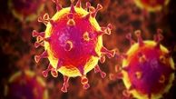 کرونا دوباره برگشت !