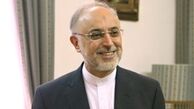 صالحی وارد زیمبابوه شد