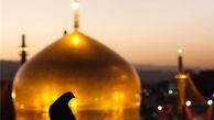 زیارت؛ تبلور مودت اهل بیت(ع)/ زیارت امام رئوف، چه آدابی دارد؟
