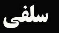 سلفی شهره سلطانی و دیگران با حسین محب‌اهری + عکس