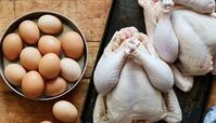 قیمت مرغ ۲۹۰ درصد و تخم مرغ ۲۷۳ درصد افزایش یافته است 