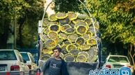 تصویری دیدنی از فروش گل آفتابگردان