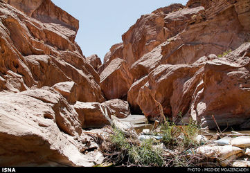 1435129961172_Mojde Moazenzadeh-51