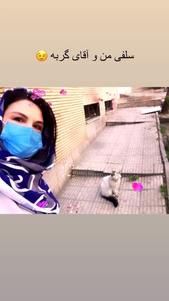 سلفی خانم بازیگر با گربه خیابانی + عکس