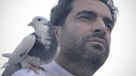 کبوتر خوشبختی منوچهر هادی + عکس