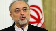 صالحی از آخرین دستاوردهای شرکت سوخت راکتورهای هسته ای بازدید کرد