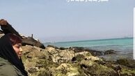 سهیلا منصوریان لب دریا+عکس