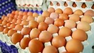 کاهش قیمت تخم مرغ در یک هفته اخیر