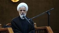 شورای نگهبان در مصوبه اخیر مبتنی بر سیاست های کلی ابلاغی عمل کرده است