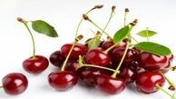 آیا هسته میوه‌ها سرطان زا هستند؟