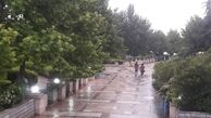 باد و باران در ۹ استان