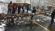 «بحران در مدیریت بحران» یعنی وضعیت امروز خیابان های تهران!