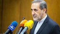 واکنشها به سخنان اخیر ولایتی در آسیب شناسی تجربه «برجام»