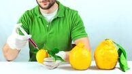 غذاهای تراریخته بخوریم یا نخوریم؟