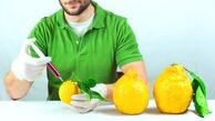 غذاهای تراریخته بخوریم یا نخوریم؟