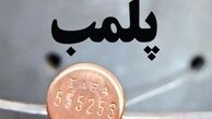 واحد صنفی برگزار کننده حراج پلمپ شد