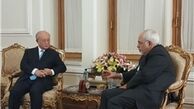 گفت‌وگوی آمانو با ظریف درباره آخرین روند اجرای برجام 